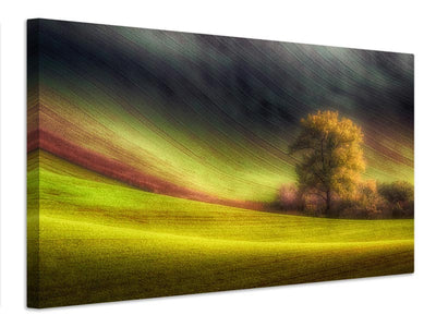 canvas-print-moravian-fields-x