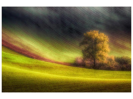 canvas-print-moravian-fields-x