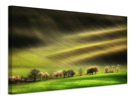 canvas-print-moravian-fields-xhj