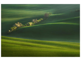 canvas-print-moravian-fields-xio