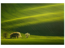 canvas-print-moravian-waves-x