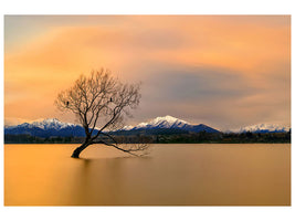 canvas-print-morning-glow-of-the-lake-wanaka