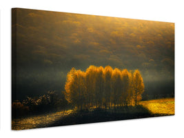 canvas-print-morning-light-xqs