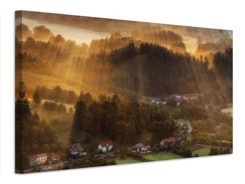 canvas-print-morning-light-xxz