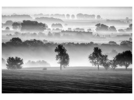 canvas-print-morning-view-xzk