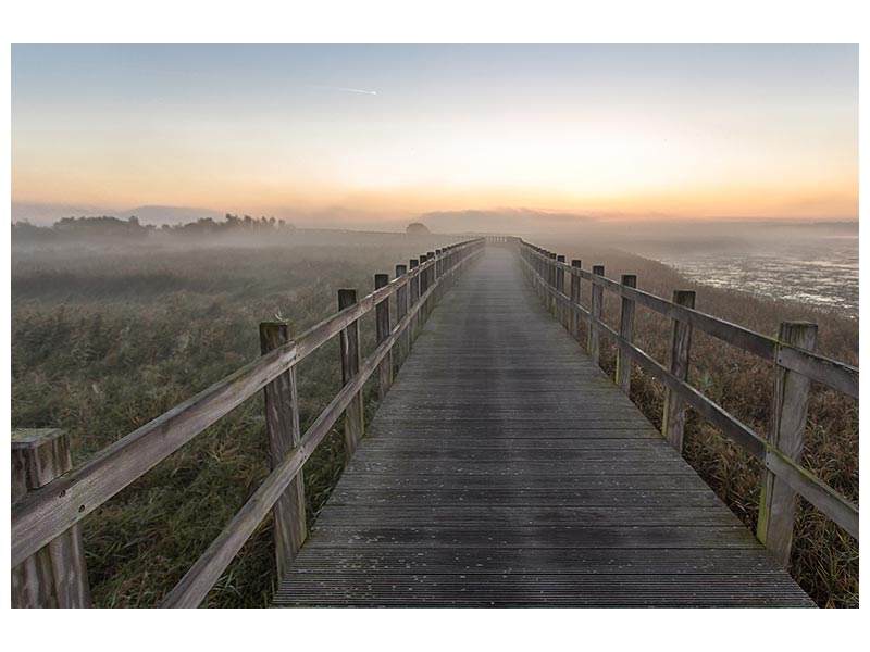 canvas-print-morning-walk-xqx