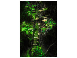 canvas-print-mushroom-wall