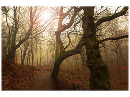 canvas-print-my-autumn-walk-x