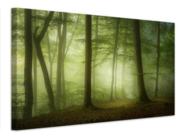 canvas-print-mysterious-spring-morning-x