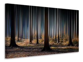 canvas-print-mystic-wood