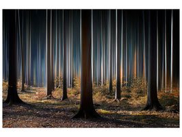 canvas-print-mystic-wood