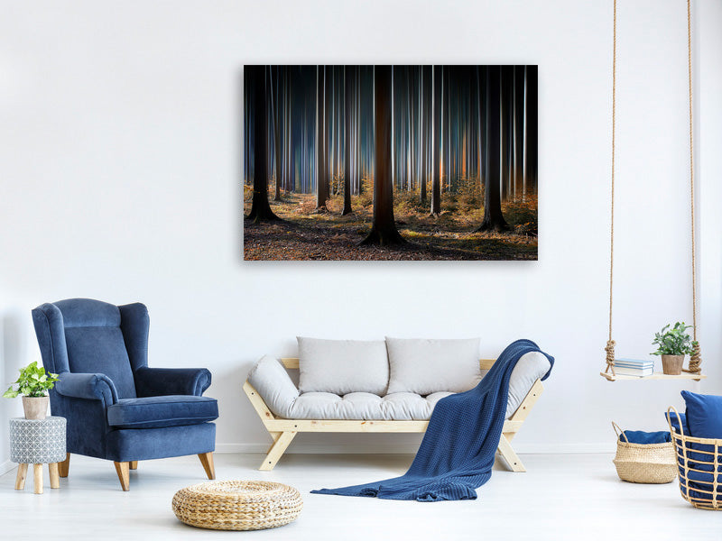 canvas-print-mystic-wood