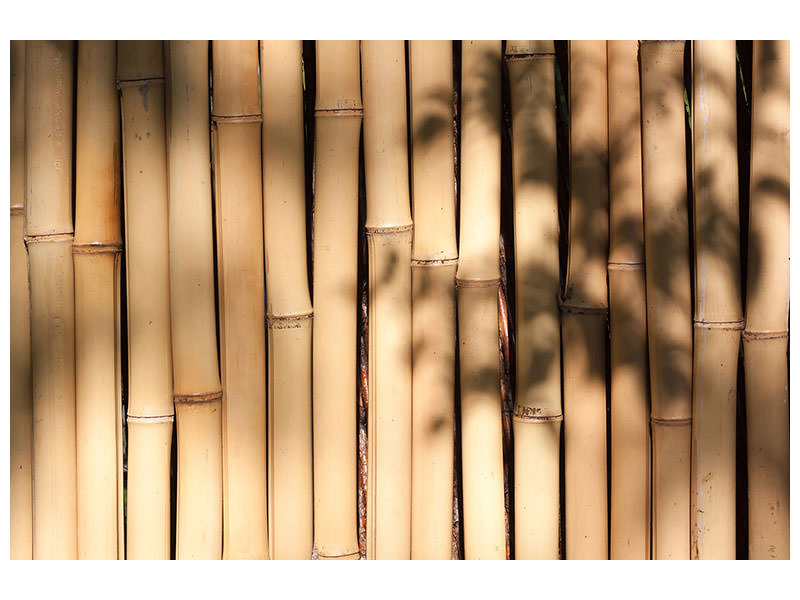 canvas-print-natural-bamboo