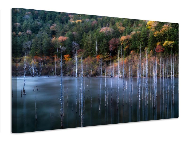 canvas-print-natural-lake-autumn-x