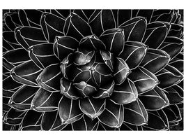 canvas-print-natural-math-x