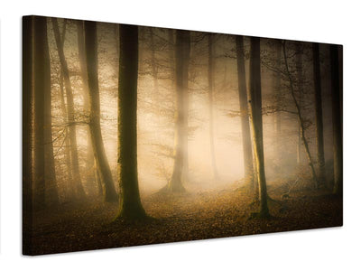 canvas-print-november-whispers-x