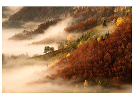 canvas-print-novembers-fog-x