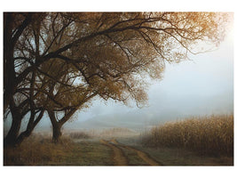 canvas-print-october-morning-x