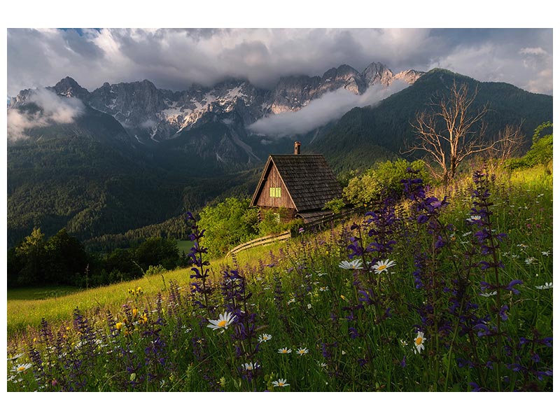 canvas-print-on-the-meadows-x