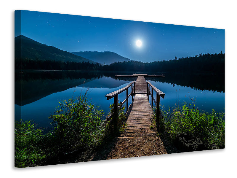 canvas-print-one-night-at-full-moon