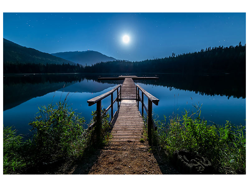 canvas-print-one-night-at-full-moon