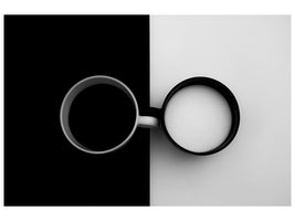 canvas-print-opposites-attract-x