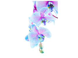 canvas-print-orchid-butterfly