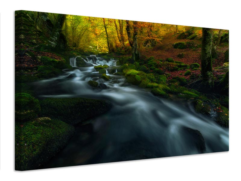 canvas-print-past-seasons-x