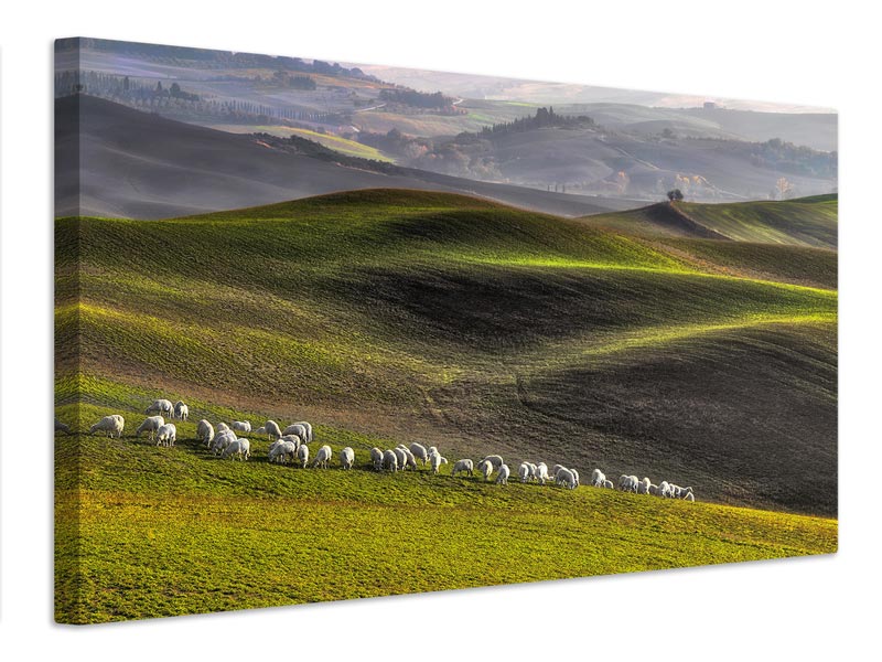 canvas-print-pastoral-x