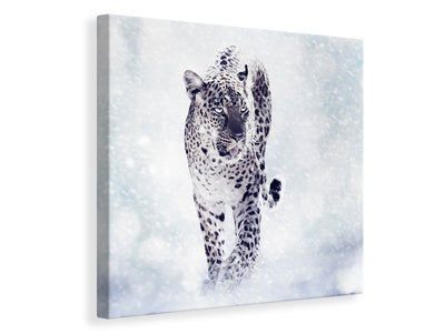 canvas-print-photo-wallaper-the-leopard