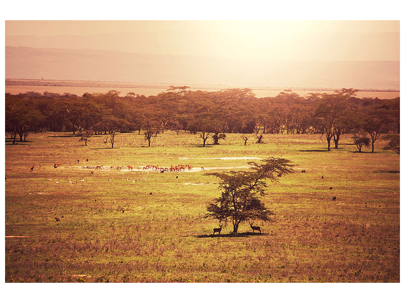 canvas-print-picturesque-africa