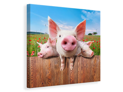 canvas-print-pig-in-luck