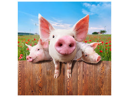 canvas-print-pig-in-luck