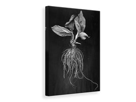 canvas-print-plantain