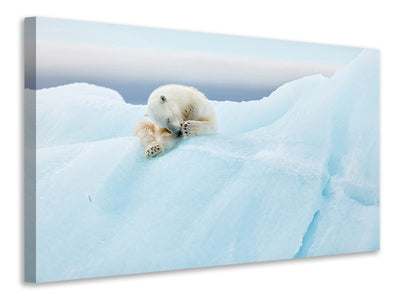 canvas-print-polar-bear-grooming