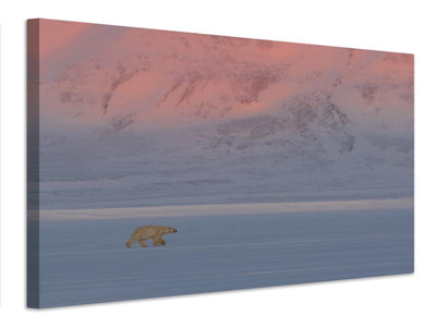 canvas-print-polar-bear-x