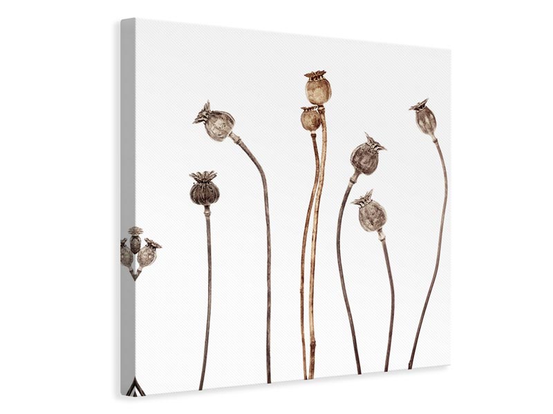 canvas-print-poppies-xhe