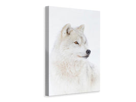 canvas-print-portrait-of-an-arctic-wolf-x