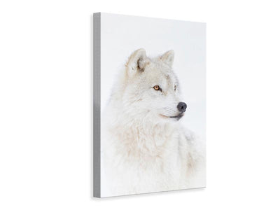canvas-print-portrait-of-an-arctic-wolf-x