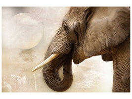 canvas-print-portrait-of-an-elephant