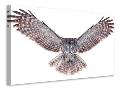 canvas-print-power-great-grey-owl