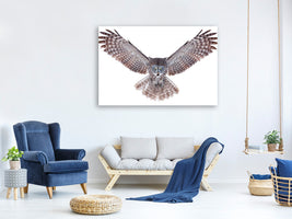 canvas-print-power-great-grey-owl
