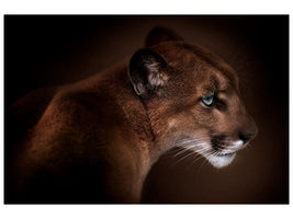 canvas-print-puma