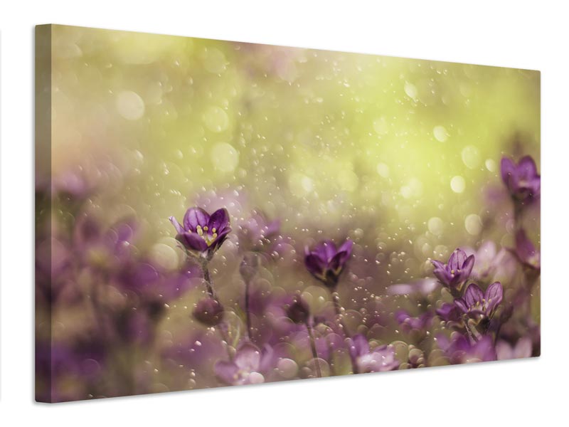 canvas-print-purple-dream-x