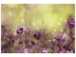 canvas-print-purple-dream-x