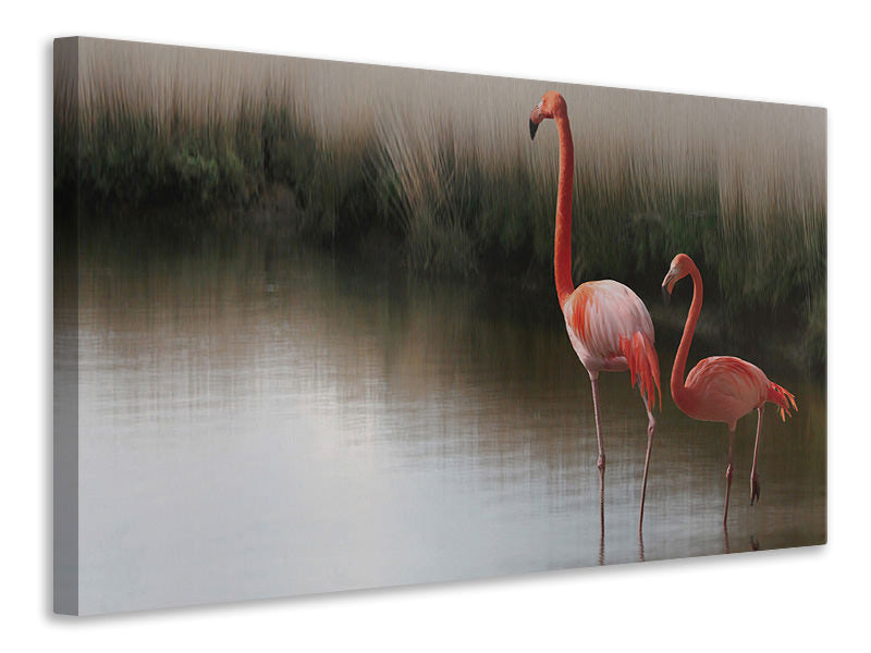 canvas-print-red-flamingo-ii