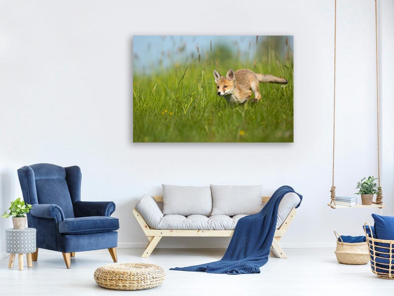 canvas-print-red-fox-xue