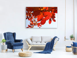 canvas-print-red-leaves-xl