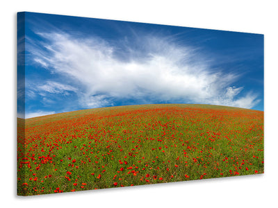 canvas-print-red-poppies