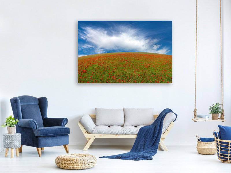 canvas-print-red-poppies